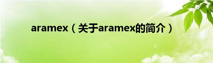 aramex（關(guān)于aramex的簡(jiǎn)介）