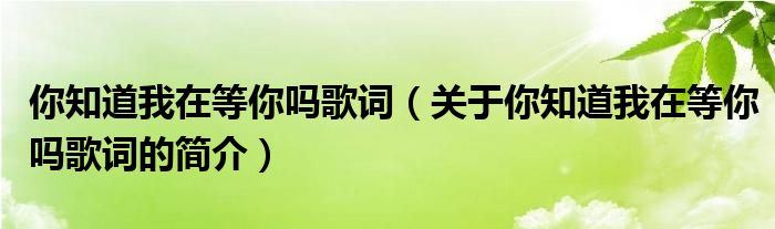 你知道我在等你嗎歌詞（關于你知道我在等你嗎歌詞的簡介）