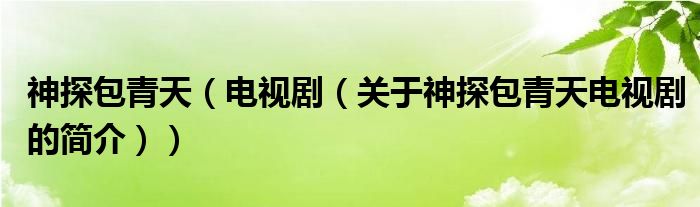 神探包青天（電視?。P(guān)于神探包青天電視劇的簡(jiǎn)介））
