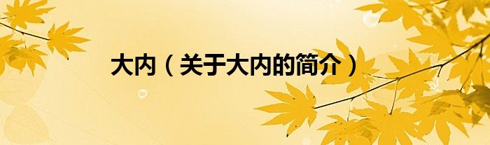 大內（關于大內的簡介）