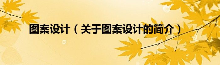 圖案設(shè)計(jì)（關(guān)于圖案設(shè)計(jì)的簡(jiǎn)介）