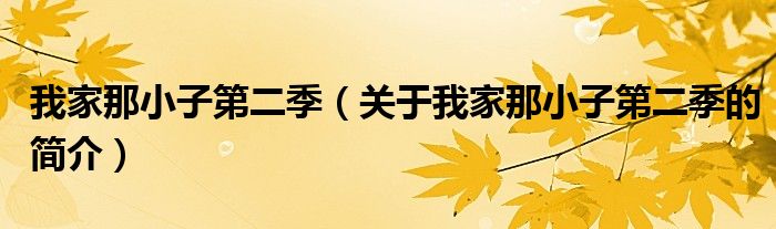 我家那小子第二季（關于我家那小子第二季的簡介）