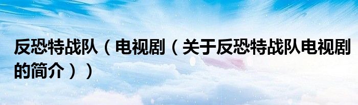 反恐特戰(zhàn)隊（電視?。P(guān)于反恐特戰(zhàn)隊電視劇的簡介））