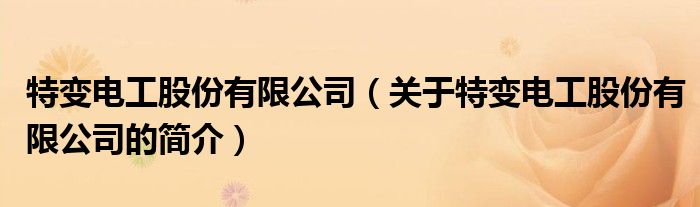 特變電工股份有限公司（關于特變電工股份有限公司的簡介）