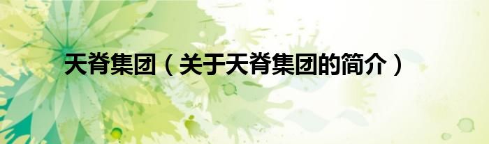 天脊集團(tuán)（關(guān)于天脊集團(tuán)的簡介）