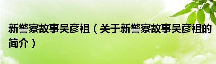 新警察故事吳彥祖（關(guān)于新警察故事吳彥祖的簡介）