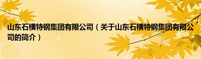 山東石橫特鋼集團有限公司（關(guān)于山東石橫特鋼集團有限公司的簡介）