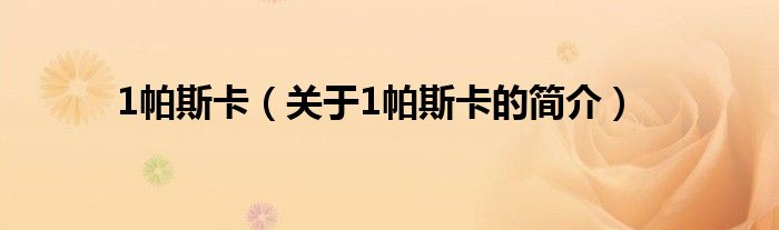 1帕斯卡（關(guān)于1帕斯卡的簡(jiǎn)介）