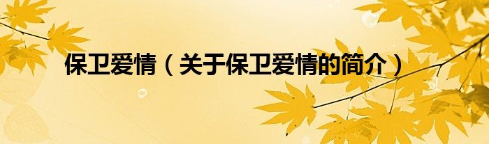 保衛(wèi)愛情（關(guān)于保衛(wèi)愛情的簡介）