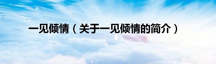 一見傾情（關(guān)于一見傾情的簡(jiǎn)介）