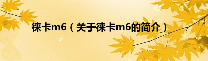徠卡m6（關(guān)于徠卡m6的簡介）