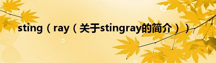 sting（ray（關(guān)于stingray的簡(jiǎn)介））