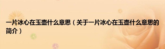 一片冰心在玉壺什么意思（關(guān)于一片冰心在玉壺什么意思的簡(jiǎn)介）