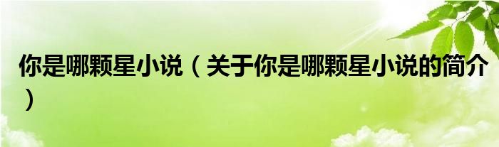 你是哪顆星小說（關于你是哪顆星小說的簡介）