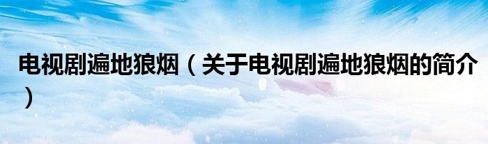 電視劇遍地狼煙（關于電視劇遍地狼煙的簡介）