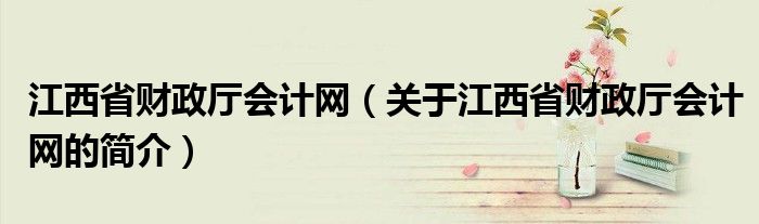 江西省財政廳會計網(wǎng)（關(guān)于江西省財政廳會計網(wǎng)的簡介）