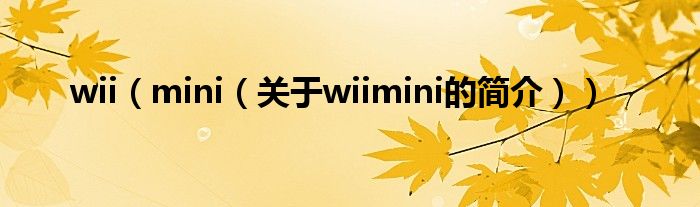wii（mini（關于wiimini的簡介））