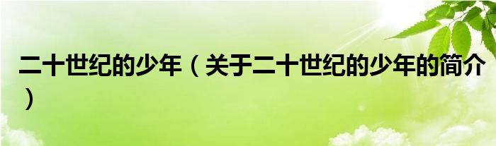 二十世紀(jì)的少年（關(guān)于二十世紀(jì)的少年的簡(jiǎn)介）
