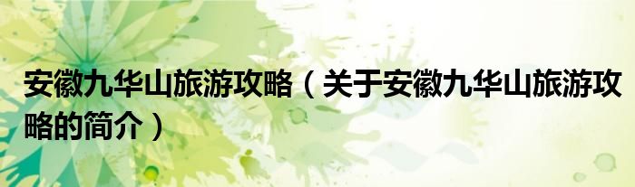 安徽九華山旅游攻略（關(guān)于安徽九華山旅游攻略的簡介）