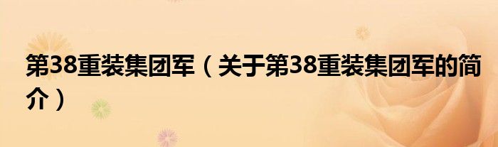 第38重裝集團軍（關(guān)于第38重裝集團軍的簡介）