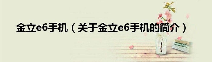 金立e6手機（關(guān)于金立e6手機的簡介）