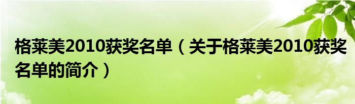 格萊美2010獲獎名單（關(guān)于格萊美2010獲獎名單的簡介）