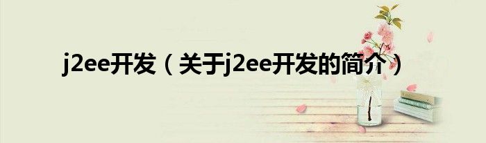 j2ee開發(fā)（關(guān)于j2ee開發(fā)的簡(jiǎn)介）