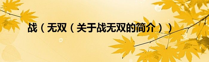 戰(zhàn)（無(wú)雙（關(guān)于戰(zhàn)無(wú)雙的簡(jiǎn)介））