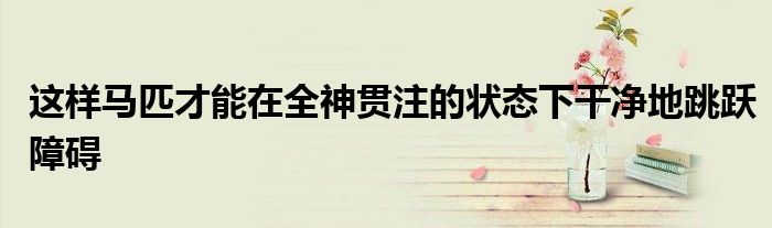 這樣馬匹才能在全神貫注的狀態(tài)下干凈地跳躍障礙