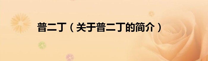 普二?。P(guān)于普二丁的簡介）