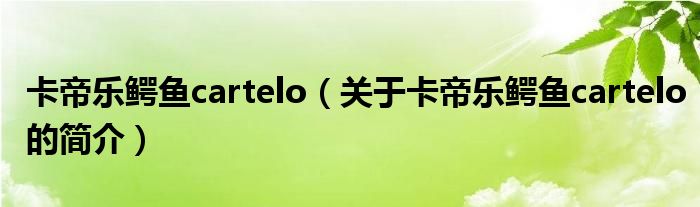 卡帝樂鱷魚cartelo（關(guān)于卡帝樂鱷魚cartelo的簡介）