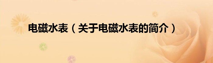 電磁水表（關(guān)于電磁水表的簡(jiǎn)介）