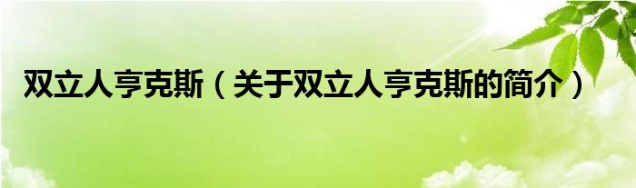 雙立人亨克斯（關(guān)于雙立人亨克斯的簡介）