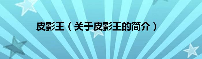 皮影王（關于皮影王的簡介）