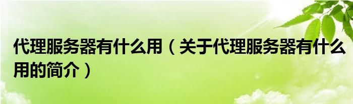 代理服務器有什么用（關于代理服務器有什么用的簡介）