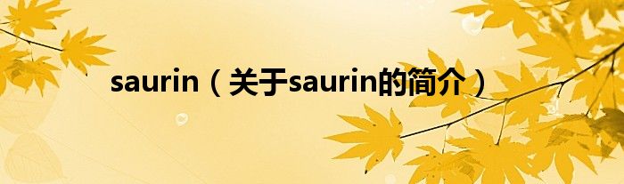 saurin（關于saurin的簡介）