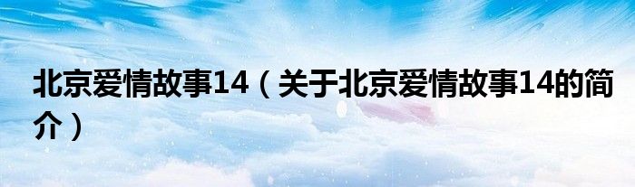 北京愛情故事14（關(guān)于北京愛情故事14的簡(jiǎn)介）