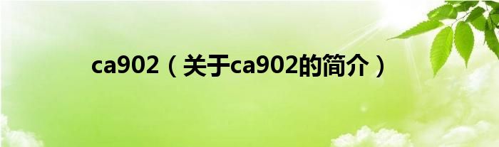 ca902（關于ca902的簡介）