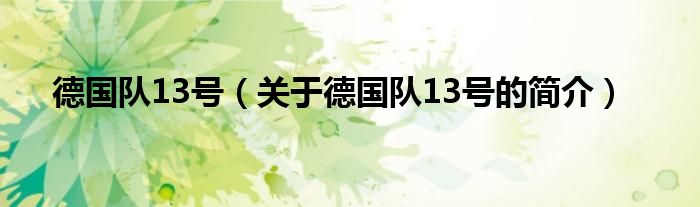 德國隊13號（關于德國隊13號的簡介）