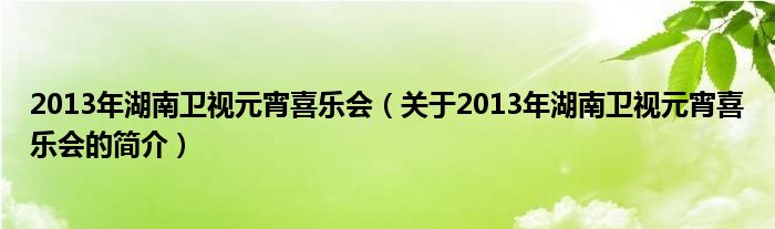 2013年湖南衛(wèi)視元宵喜樂會(huì)（關(guān)于2013年湖南衛(wèi)視元宵喜樂會(huì)的簡介）