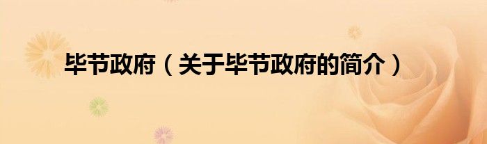 畢節(jié)政府（關于畢節(jié)政府的簡介）