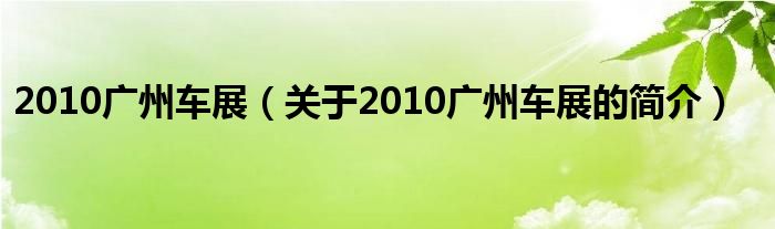 2010廣州車展（關于2010廣州車展的簡介）