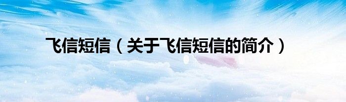 飛信短信（關(guān)于飛信短信的簡(jiǎn)介）