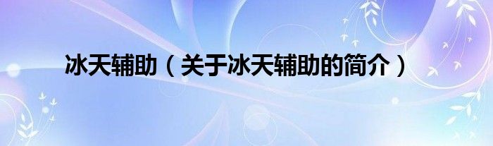 冰天輔助（關于冰天輔助的簡介）