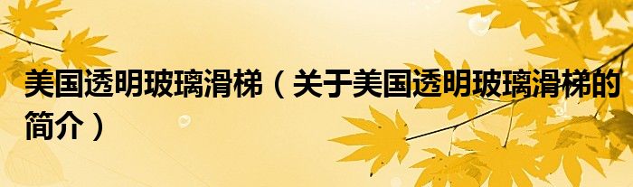 美國透明玻璃滑梯（關于美國透明玻璃滑梯的簡介）