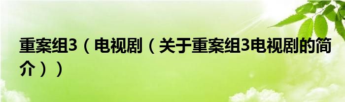重案組3（電視?。P(guān)于重案組3電視劇的簡(jiǎn)介））