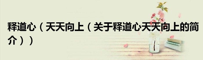 釋道心（天天向上（關于釋道心天天向上的簡介））