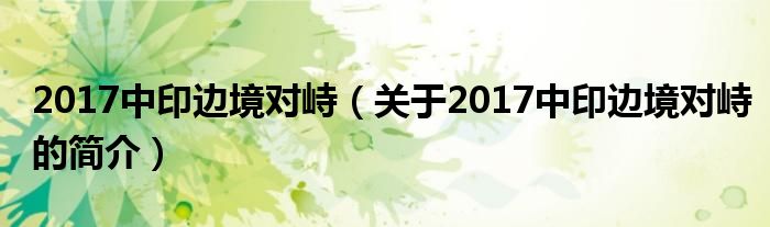 2017中印邊境對峙（關于2017中印邊境對峙的簡介）