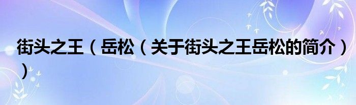 街頭之王（岳松（關(guān)于街頭之王岳松的簡(jiǎn)介））