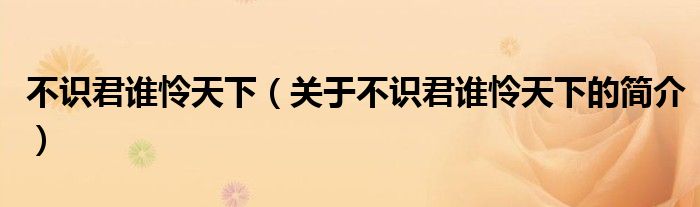 不識(shí)君誰(shuí)憐天下（關(guān)于不識(shí)君誰(shuí)憐天下的簡(jiǎn)介）